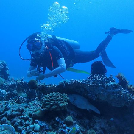 East Lombok Dive Hotel - 3 Private Rooms On The Beach With Seaview & Scuba Diving Center Labuhan Pandan Luaran gambar