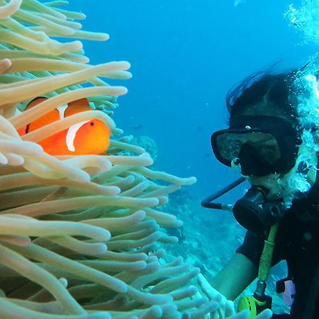 East Lombok Dive Hotel - 3 Private Rooms On The Beach With Seaview & Scuba Diving Center Labuhan Pandan Luaran gambar