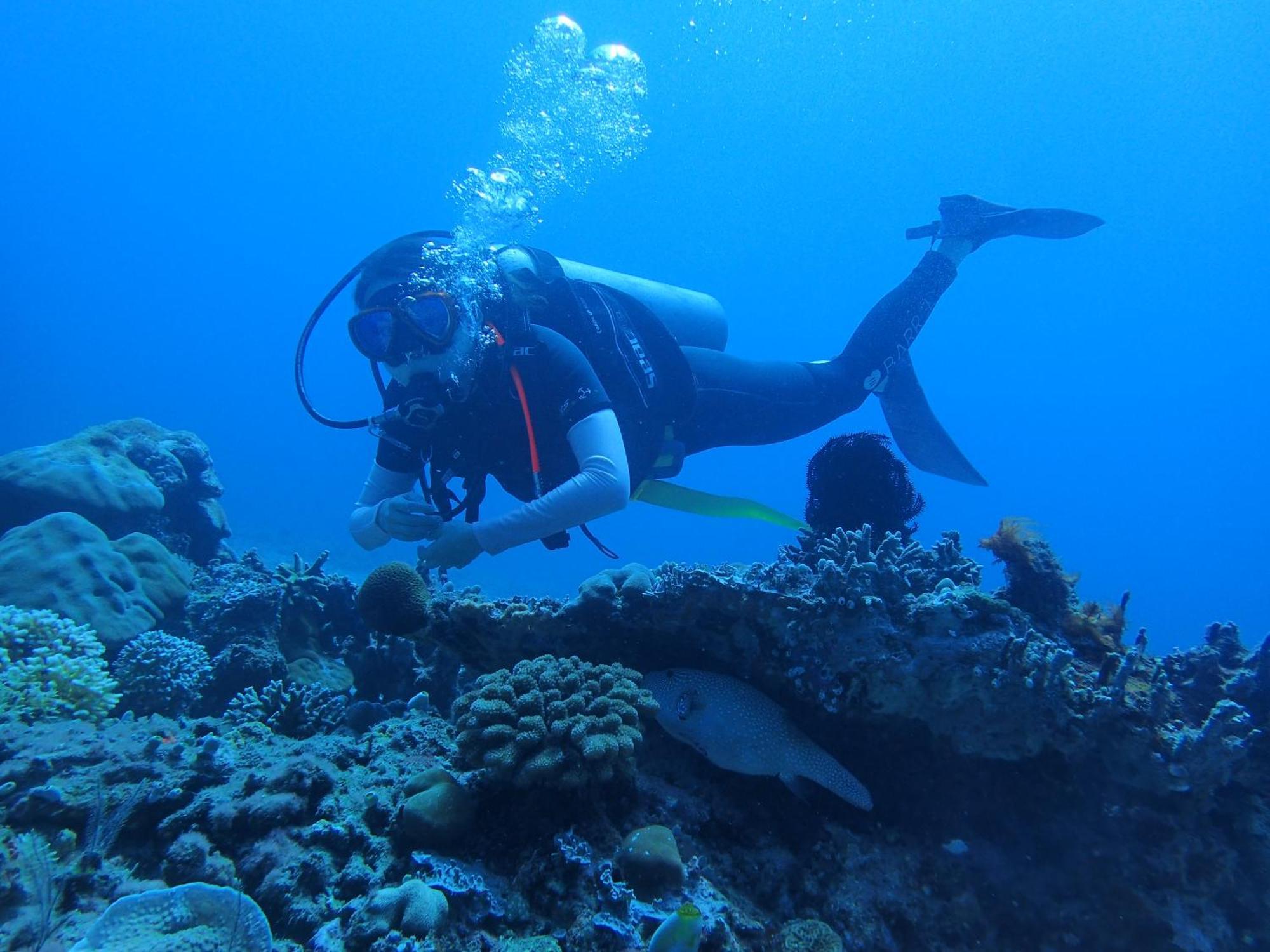 East Lombok Dive Hotel - 3 Private Rooms On The Beach With Seaview & Scuba Diving Center Labuhan Pandan Luaran gambar